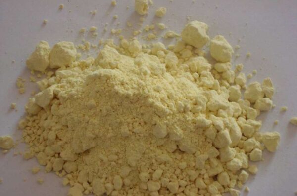 Orphine - Image 2